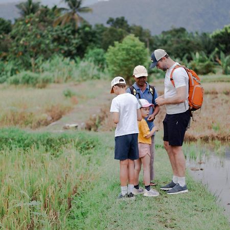 Ambow Homestay Jungle Trekking & Village Tour Букит Лаванг Екстериор снимка