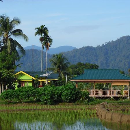 Ambow Homestay Jungle Trekking & Village Tour Букит Лаванг Екстериор снимка
