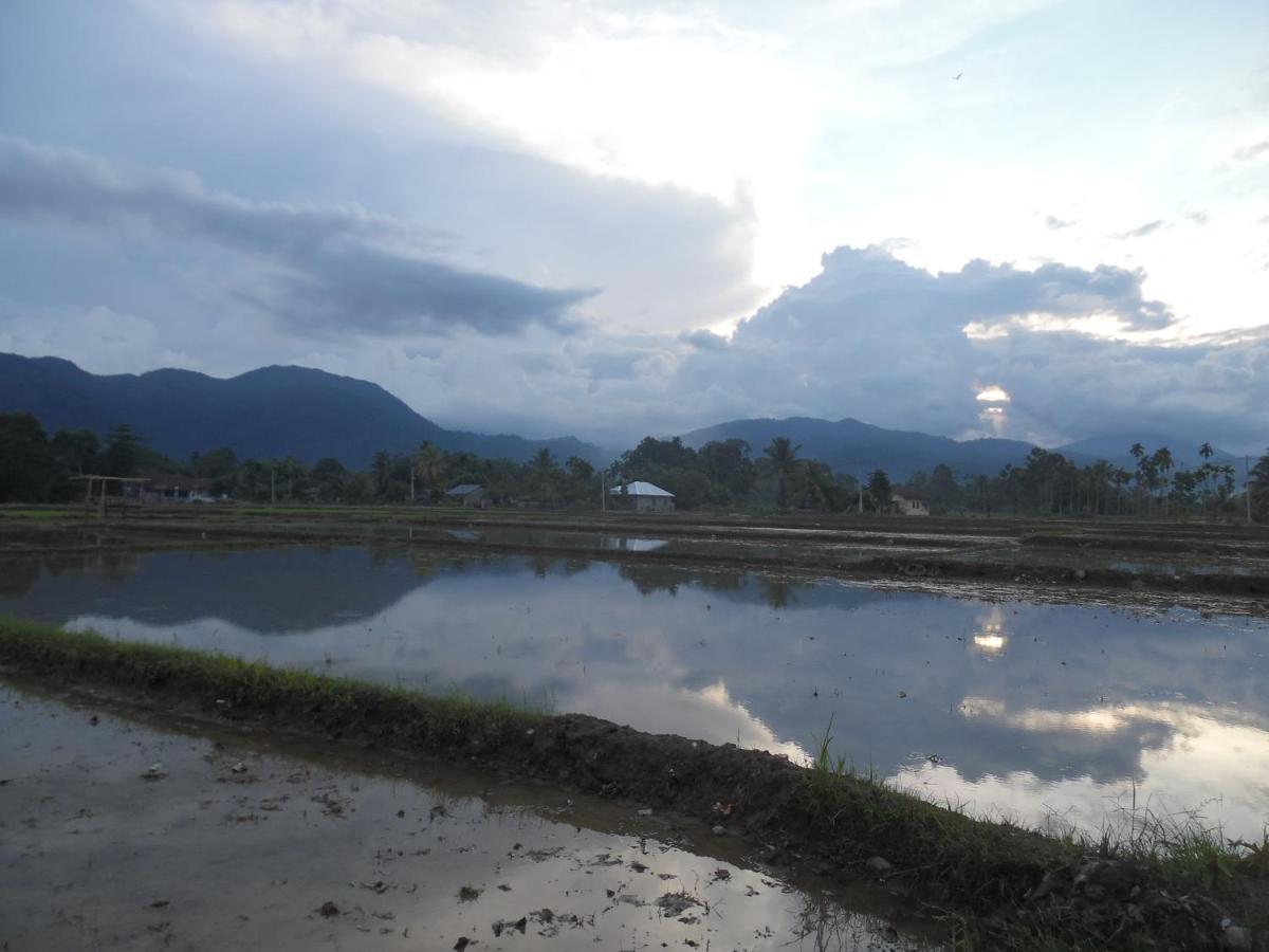 Ambow Homestay Jungle Trekking & Village Tour Букит Лаванг Екстериор снимка