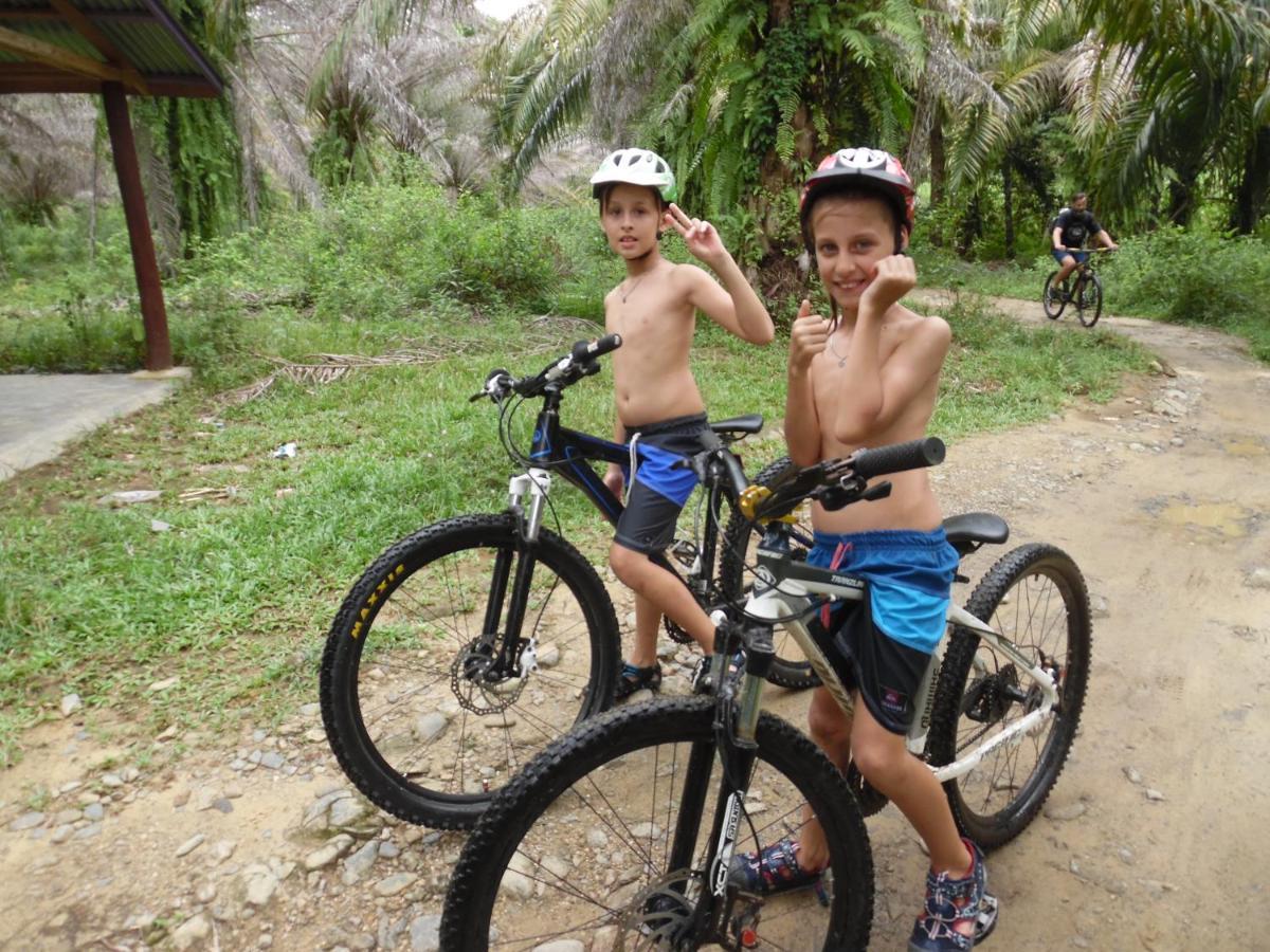 Ambow Homestay Jungle Trekking & Village Tour Букит Лаванг Екстериор снимка