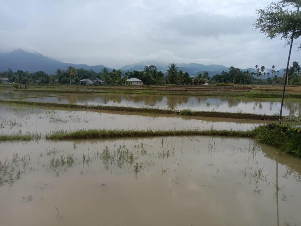 Ambow Homestay Jungle Trekking & Village Tour Букит Лаванг Екстериор снимка