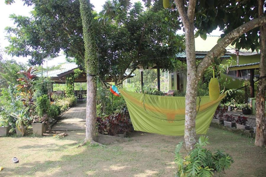 Ambow Homestay Jungle Trekking & Village Tour Букит Лаванг Екстериор снимка