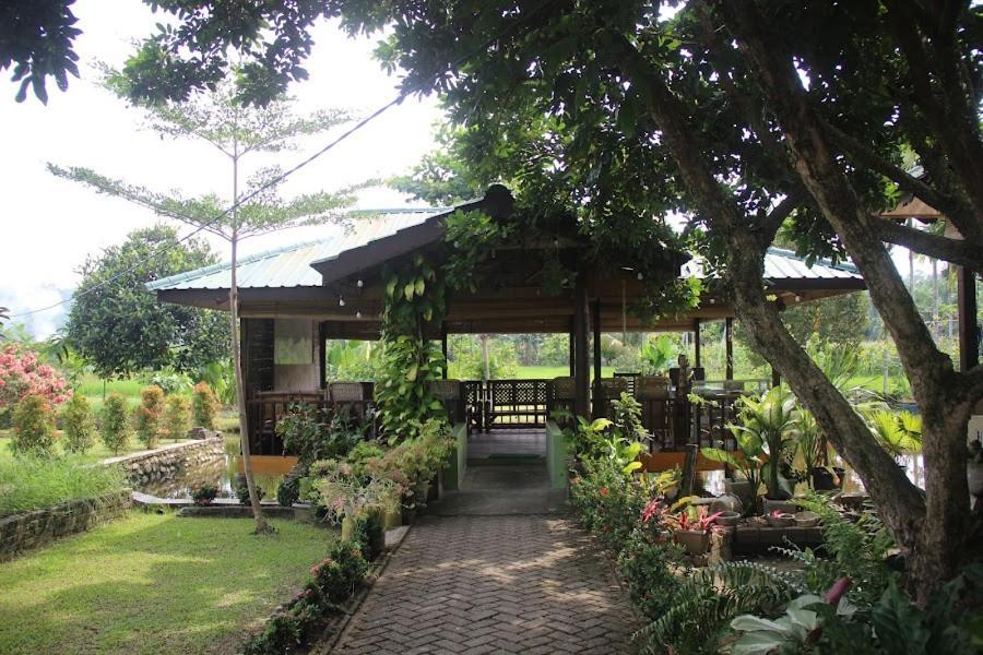 Ambow Homestay Jungle Trekking & Village Tour Букит Лаванг Екстериор снимка