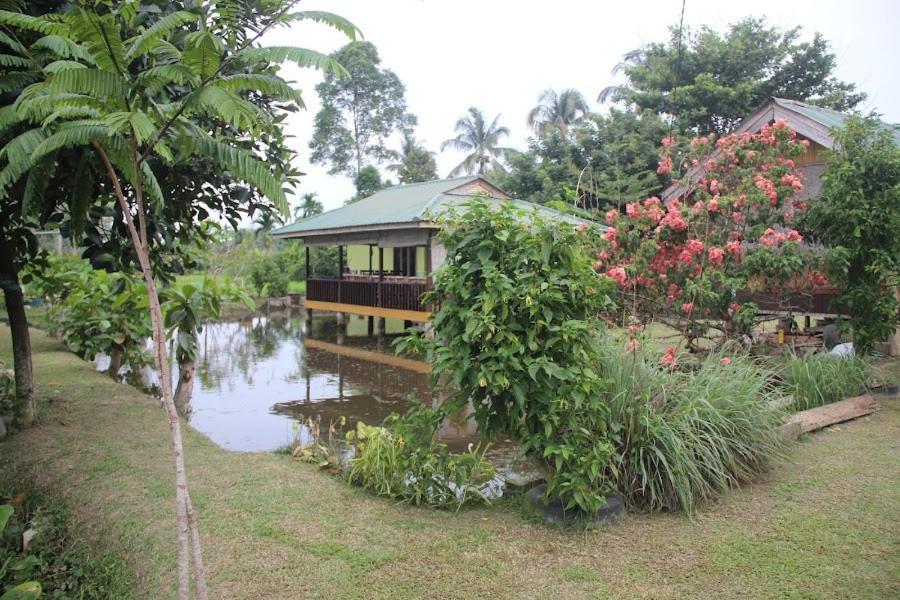 Ambow Homestay Jungle Trekking & Village Tour Букит Лаванг Екстериор снимка