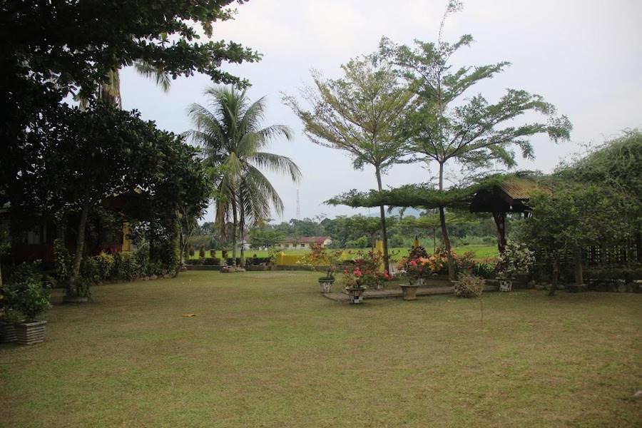 Ambow Homestay Jungle Trekking & Village Tour Букит Лаванг Екстериор снимка