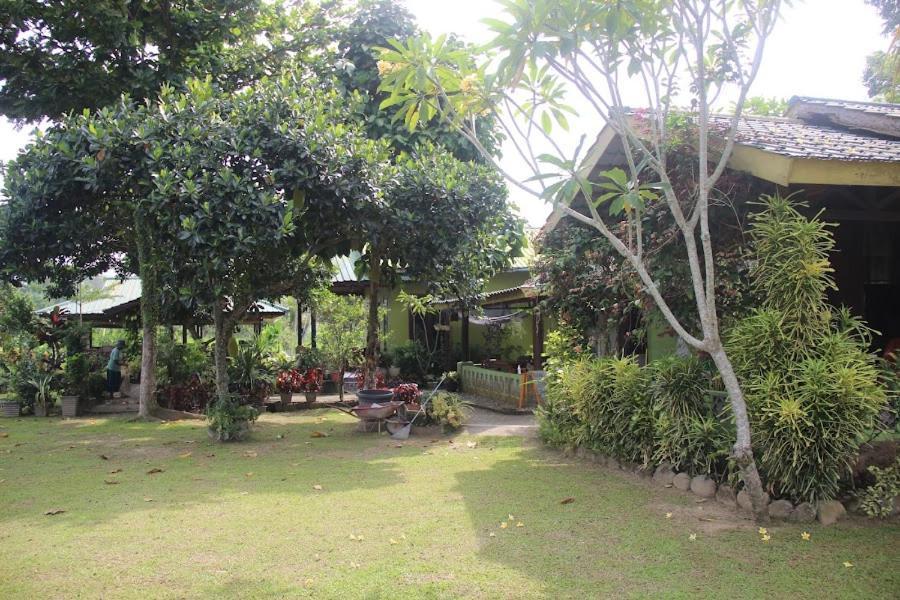 Ambow Homestay Jungle Trekking & Village Tour Букит Лаванг Екстериор снимка