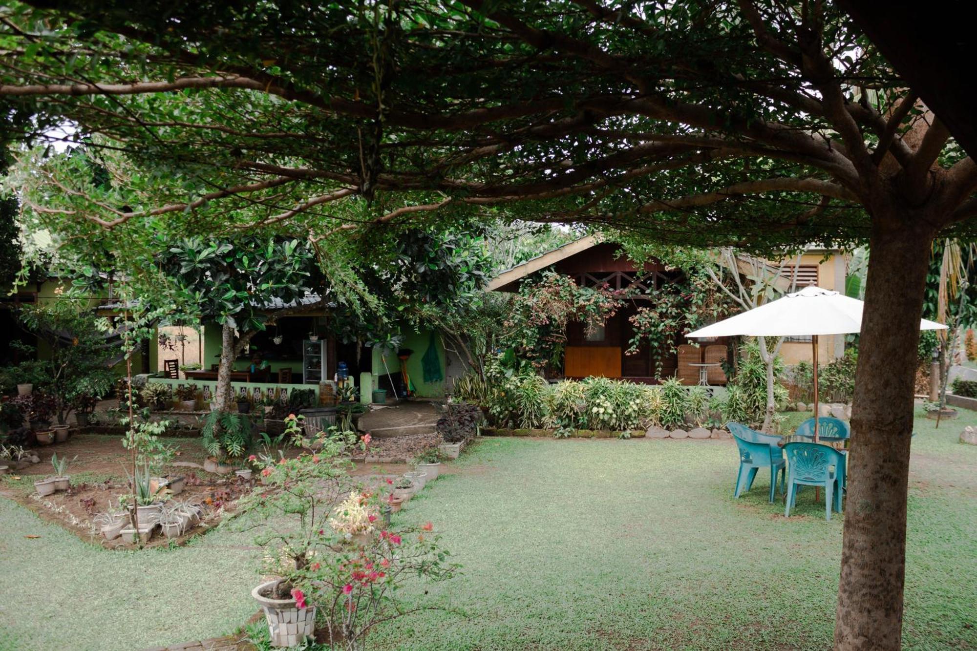 Ambow Homestay Jungle Trekking & Village Tour Букит Лаванг Екстериор снимка