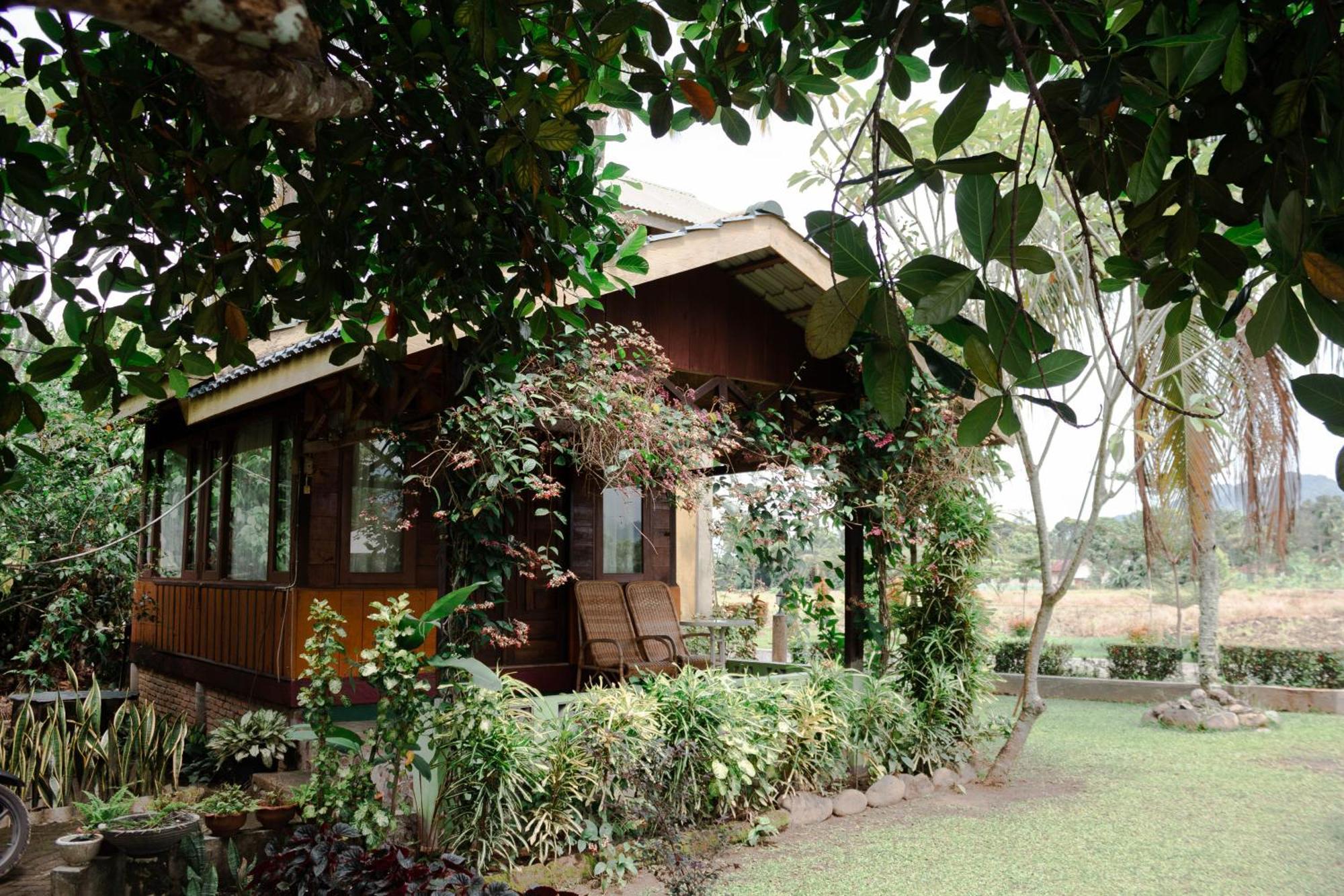 Ambow Homestay Jungle Trekking & Village Tour Букит Лаванг Екстериор снимка