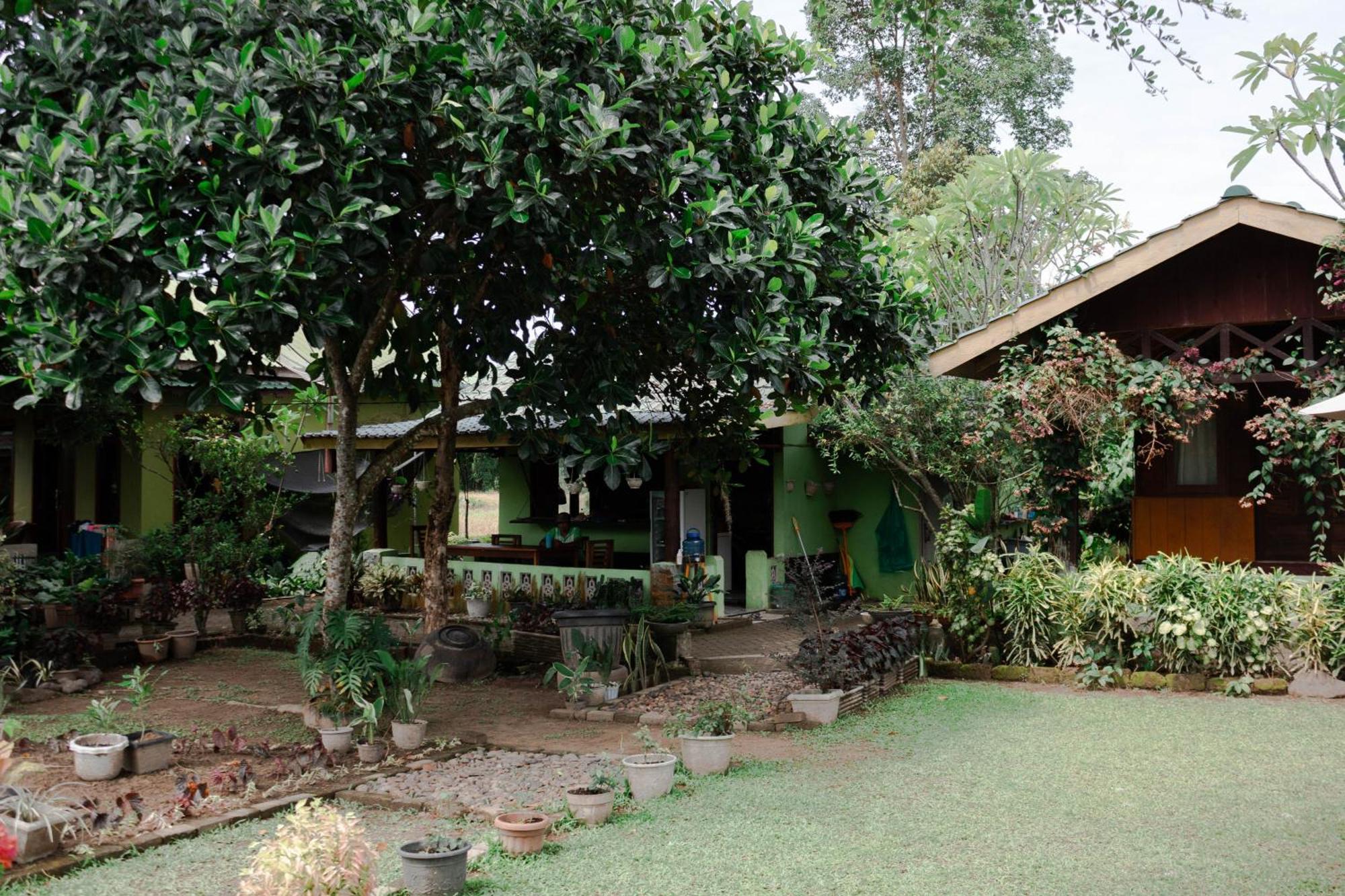 Ambow Homestay Jungle Trekking & Village Tour Букит Лаванг Екстериор снимка
