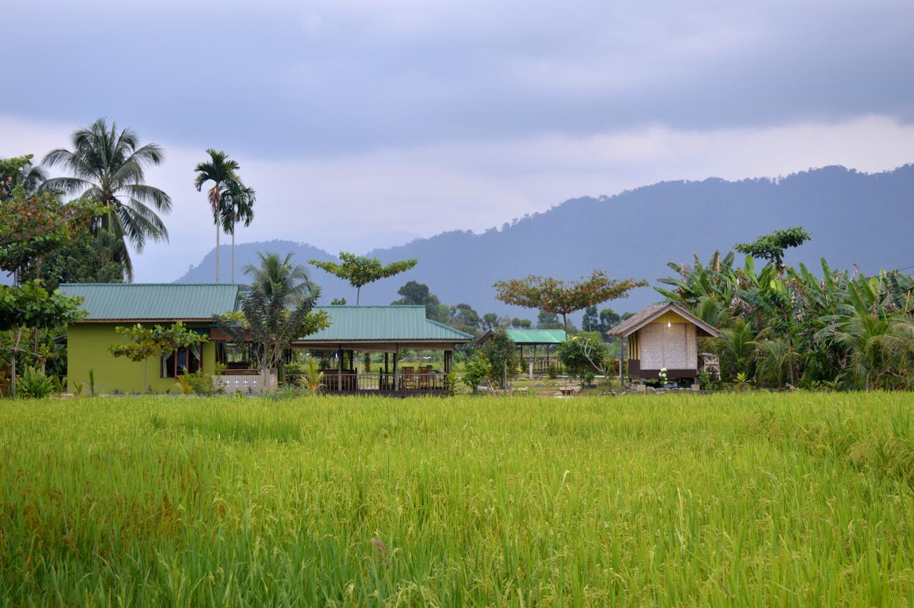 Ambow Homestay Jungle Trekking & Village Tour Букит Лаванг Екстериор снимка