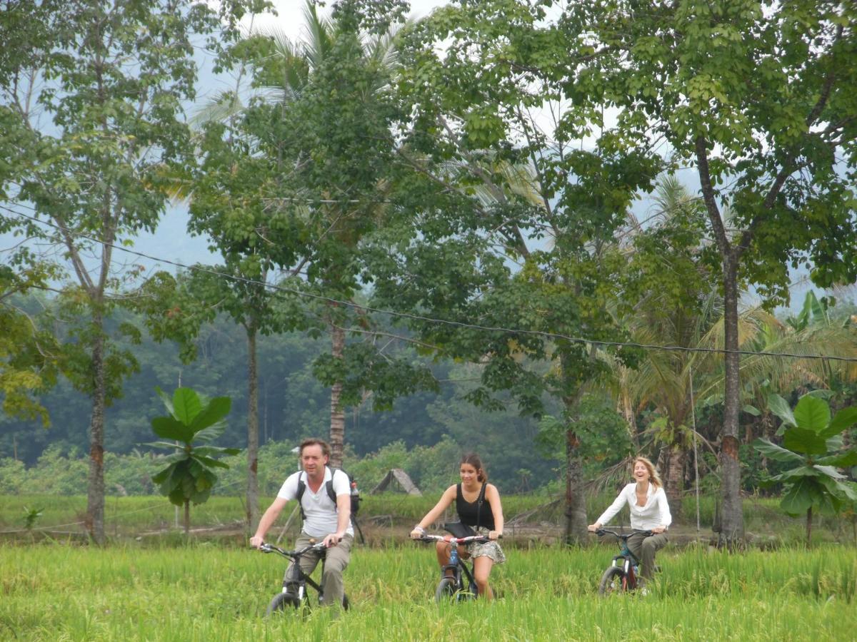 Ambow Homestay Jungle Trekking & Village Tour Букит Лаванг Екстериор снимка