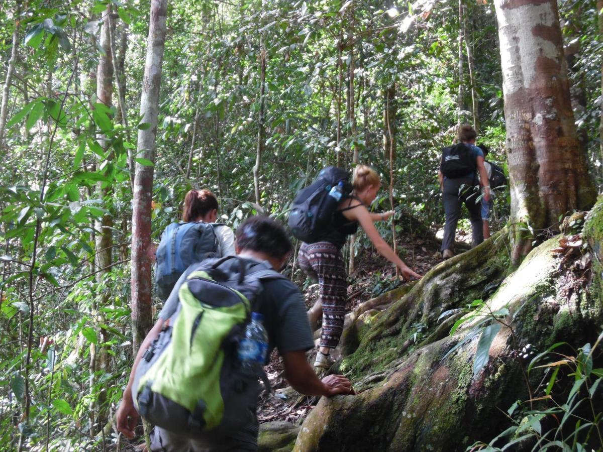 Ambow Homestay Jungle Trekking & Village Tour Букит Лаванг Екстериор снимка
