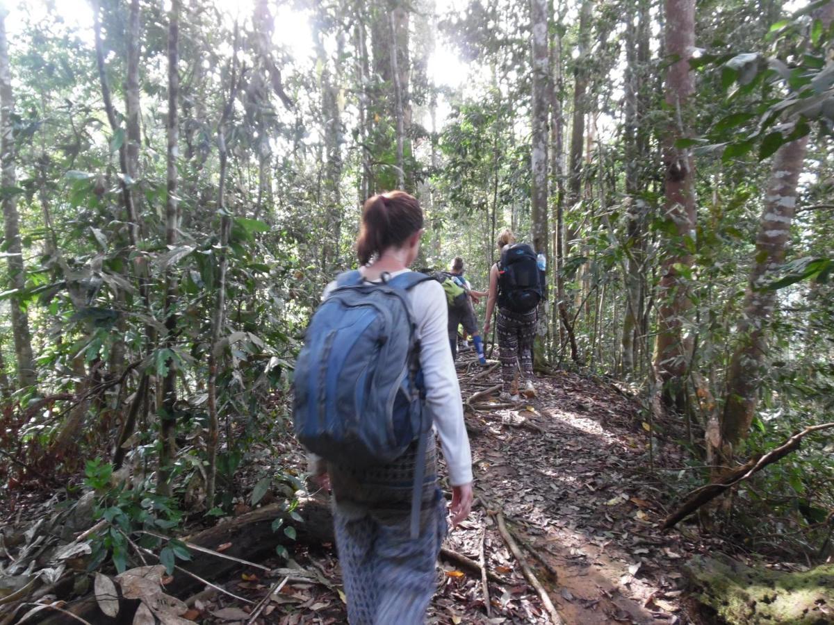 Ambow Homestay Jungle Trekking & Village Tour Букит Лаванг Екстериор снимка