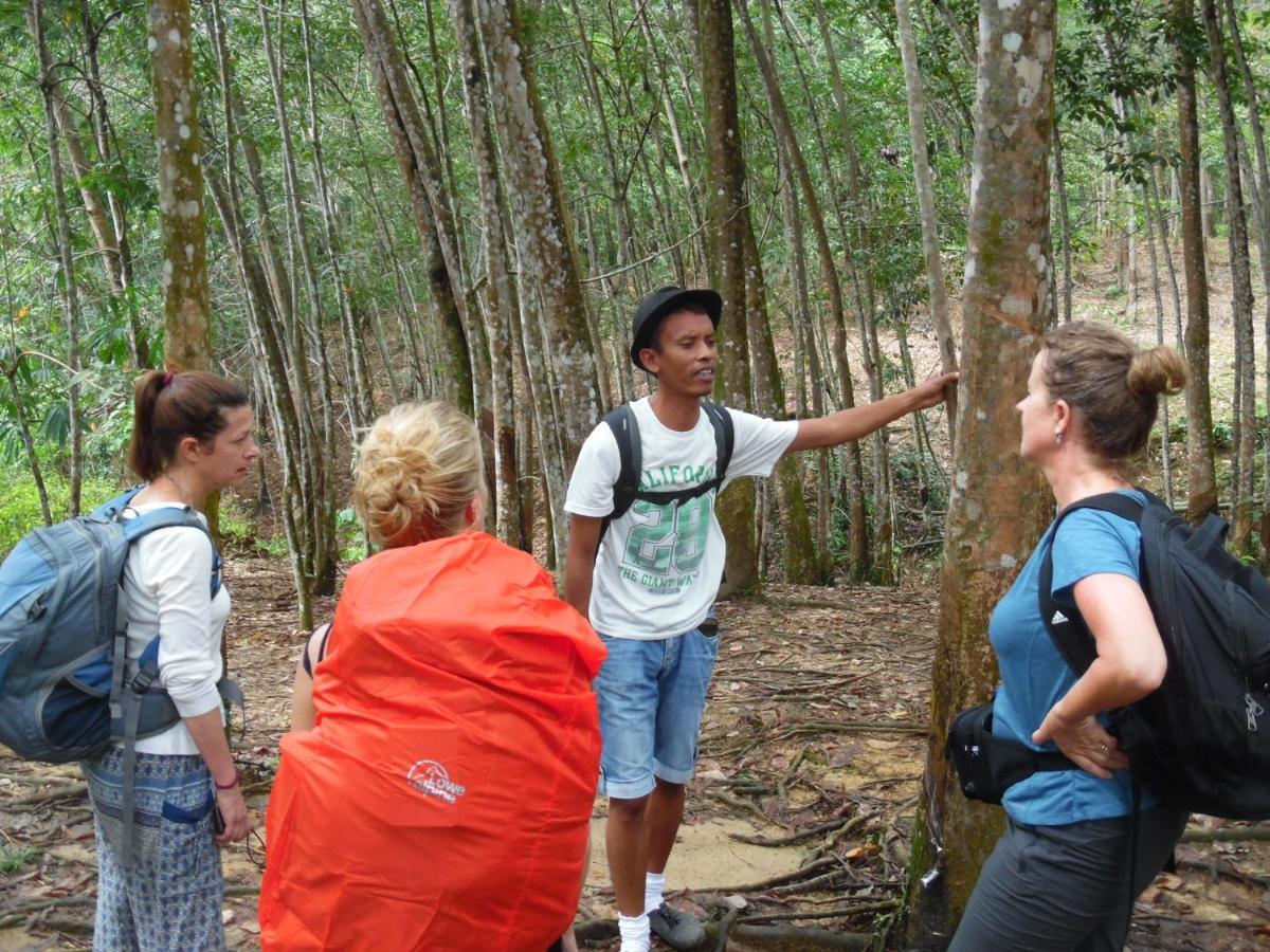 Ambow Homestay Jungle Trekking & Village Tour Букит Лаванг Екстериор снимка