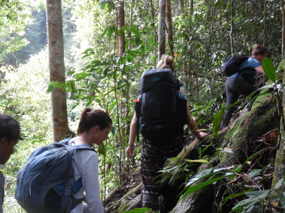 Ambow Homestay Jungle Trekking & Village Tour Букит Лаванг Екстериор снимка