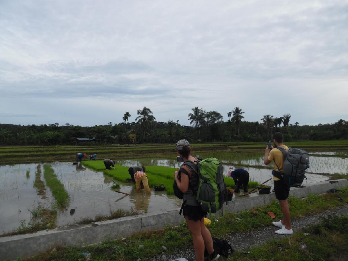 Ambow Homestay Jungle Trekking & Village Tour Букит Лаванг Екстериор снимка